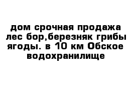 дом срочная продажа лес бор,березняк грибы ягоды. в 10 км Обское водохранилище 